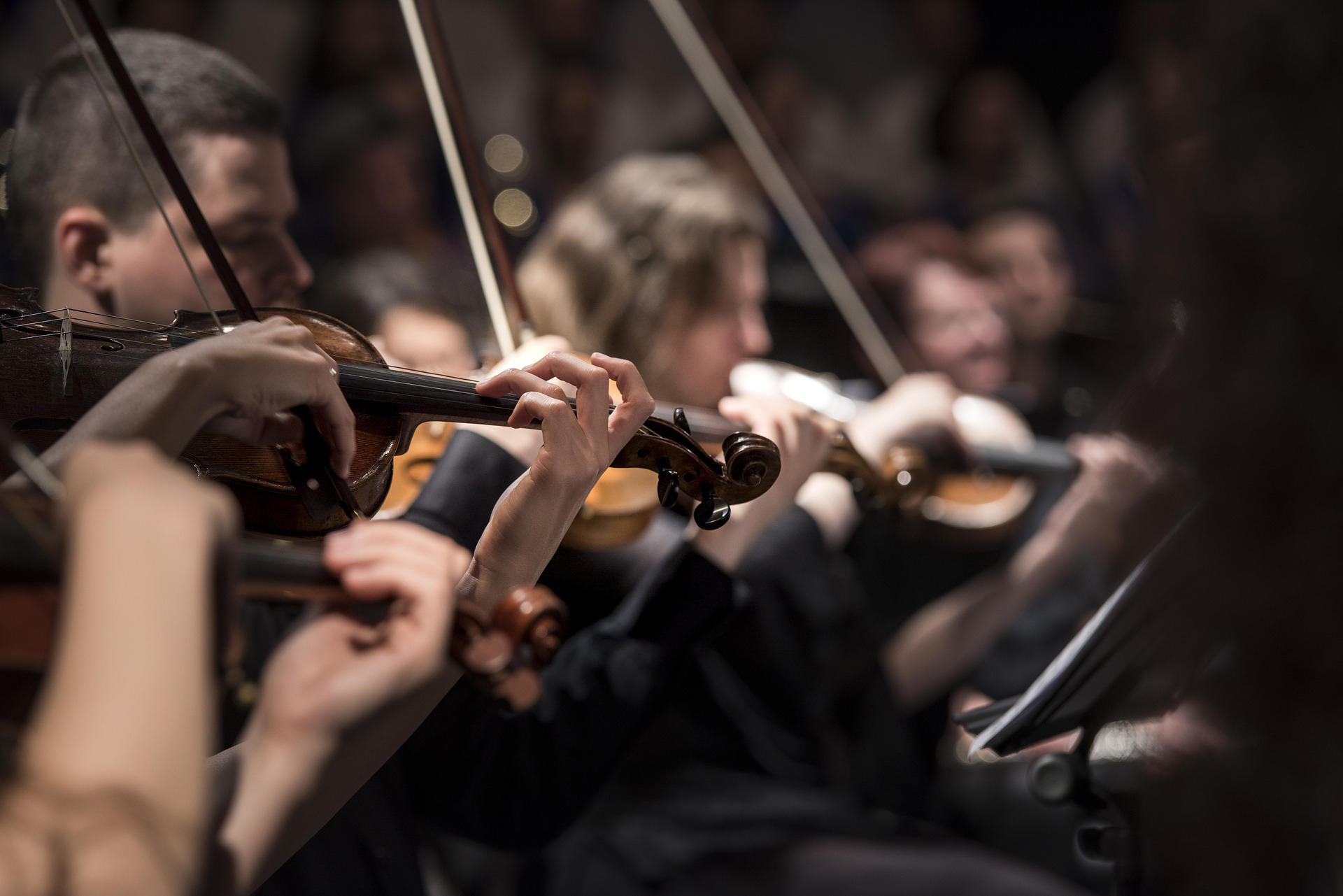 Violinists performing together in an orchestra.